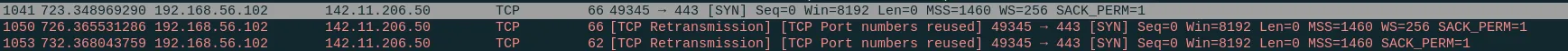 Wireshark Screenshot