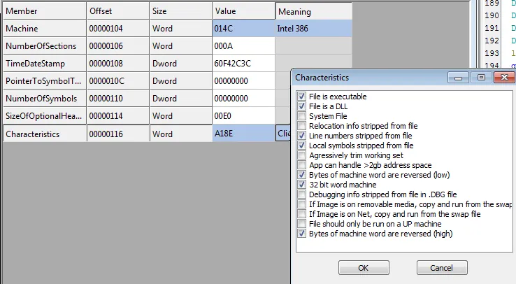 CFF Explorer Screenshot